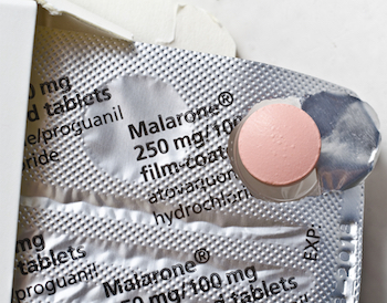 Malarone is a popular anti-malaria drug