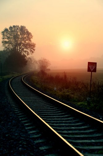 Follow your travel dream.